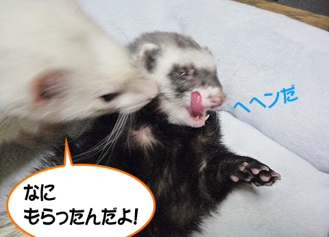 お兄ちゃんがねぼスケだからだよ