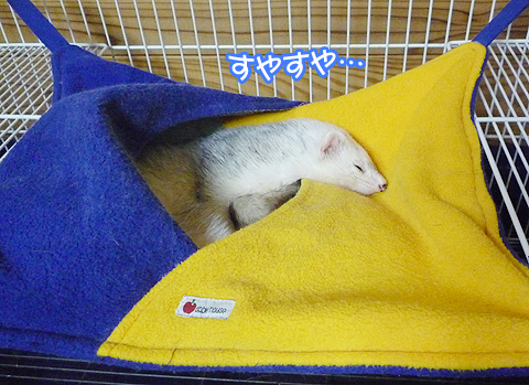 ぬくぬくで気持ちいい?