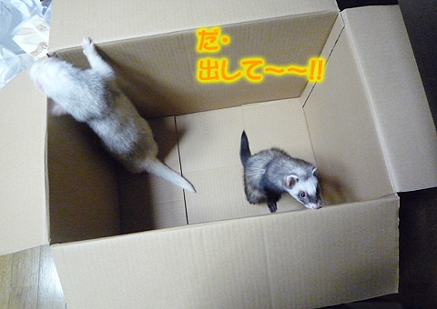 誰か、助けて！