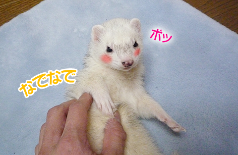 ちょっと恥ずかしかったりして…