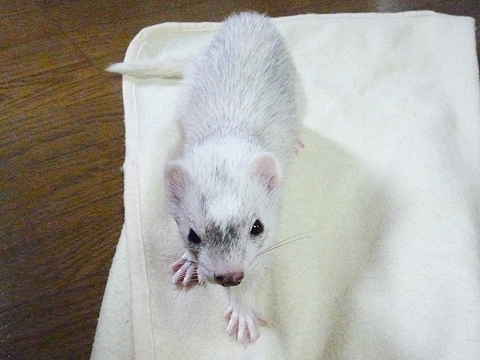 ちょっとカメラ目線で…