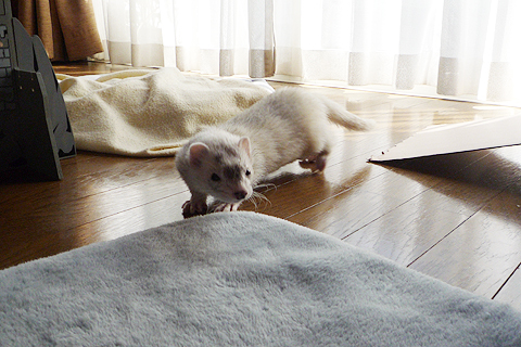 室温も最適です。