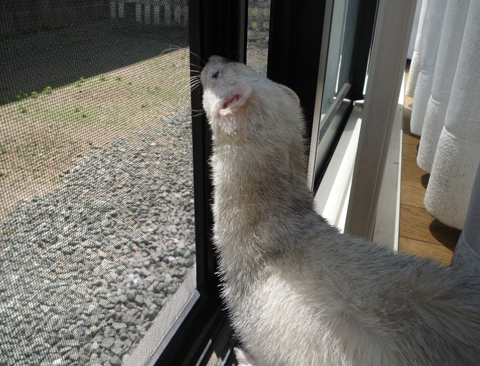 穏やかな天気ですね?。
