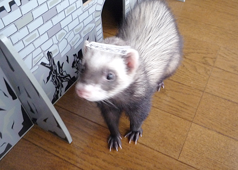 頭にペタンされました