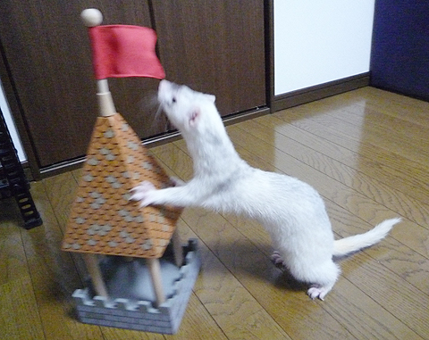 ネタのパクリはやめて