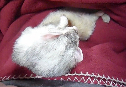 されるがまま…