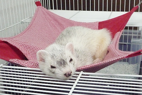 いい具合の高さです。