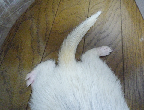 ターゲットにロックオン!!