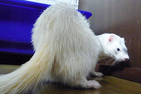 ヒップ、プリップリ！