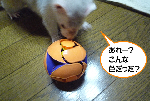 色変わってないか？