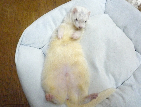 背中がムズムズします