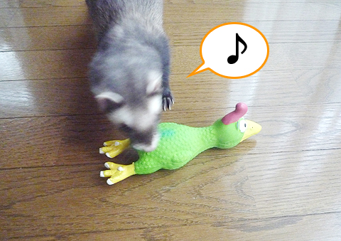 プピ人形発見！