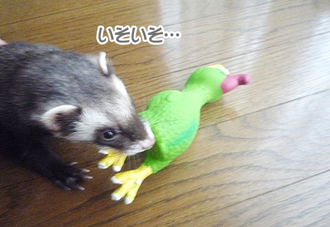 どこに行こうかな?