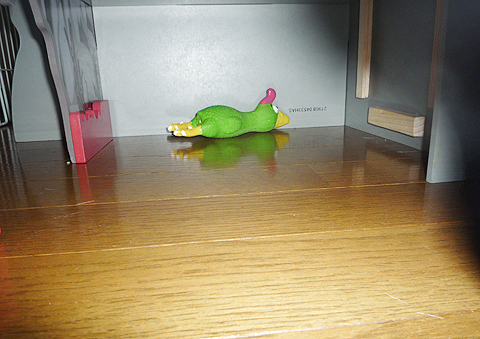 ずーっと奥の方に。