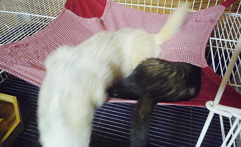 さっさとどいてね。