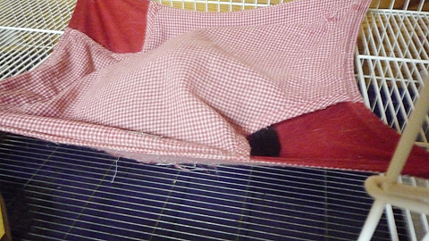 おやすみなさい…