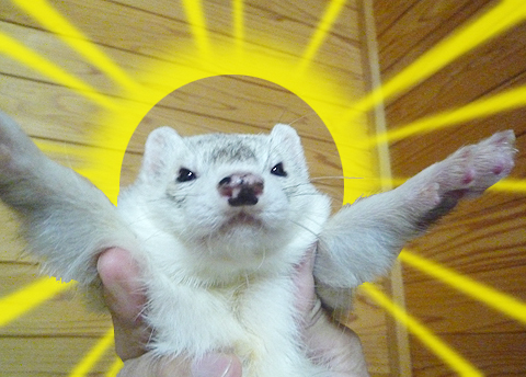 とんでもねぇ、わしゃ神様だ。