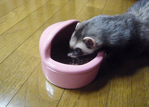 ひたすら食べるワタシ。