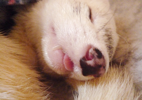 もう、ダメです。守れません