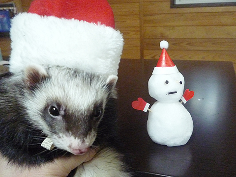 メリークリスマス