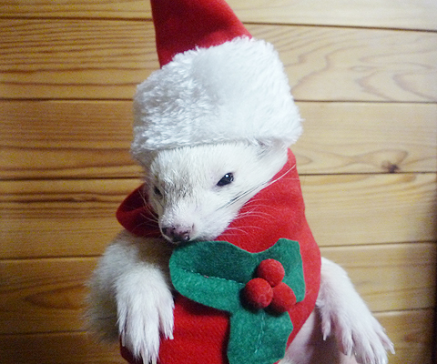 もう、ぐったり…