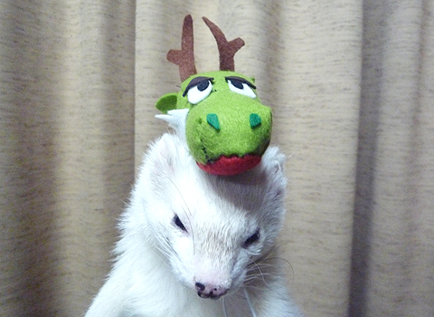 実はボクでした。