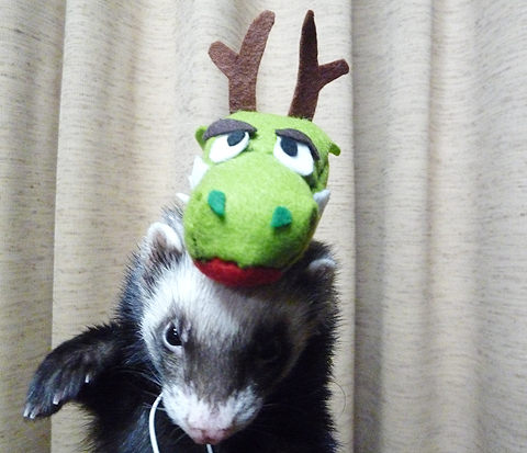 へへ、やったね。