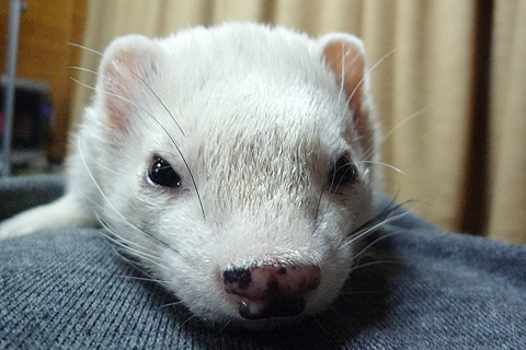 のんびり継続中