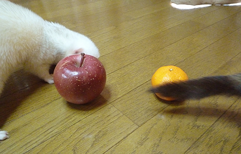 リンゴをチェック