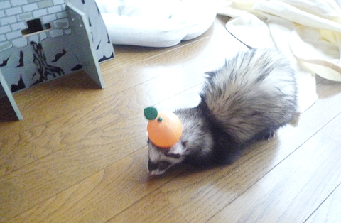 ほーら、普通に遊べます