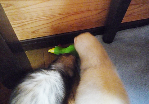 ハル?、なにしてんだよ?