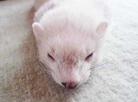 思いっきりダラ?