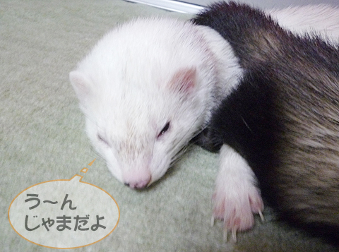 重いよぅ、ハル…