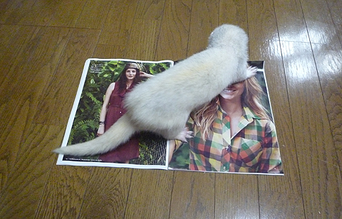 ちょっと強引に！