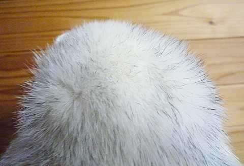 まだまだ抜けるよ?