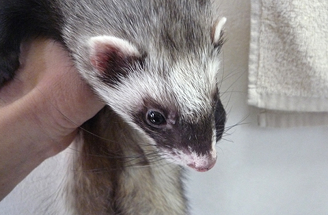 これから洗われます。