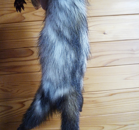 まだらになっちゃたじゃないの！