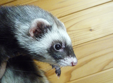 どう責任とってくれるのよ！！