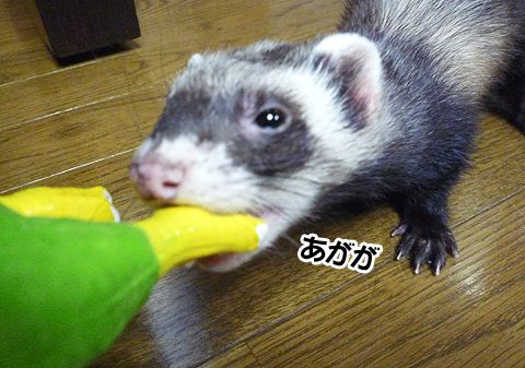 もう必死ですよ