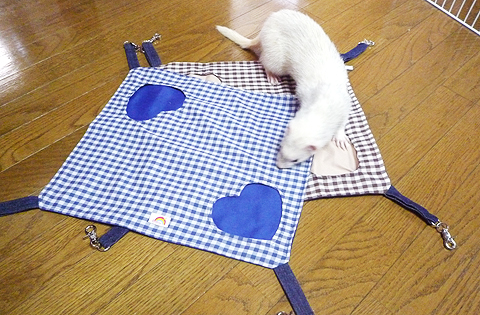 ふんふん、なるほど…