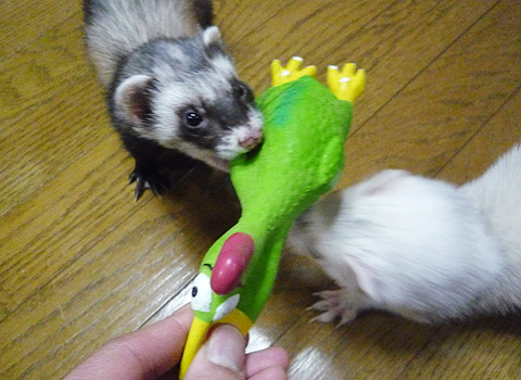 持ってかないで！