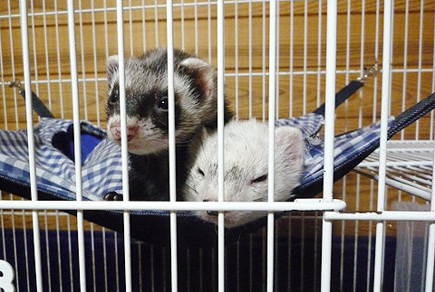 ハル?、狭いよ。