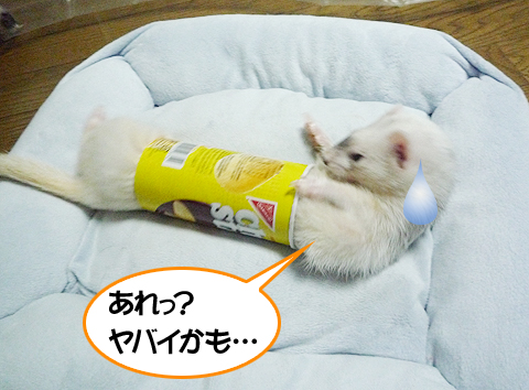 あれっ！抜け出せるのか？