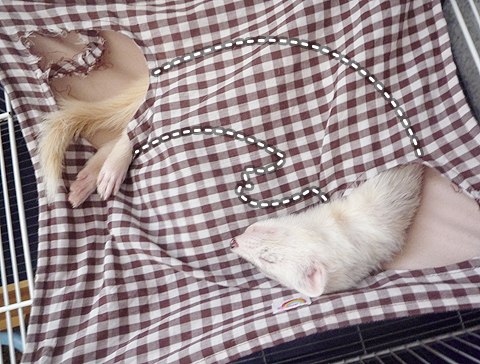 ハルのスペースなんて！