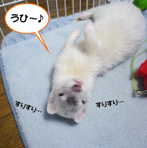 背中気持ちイイ?！