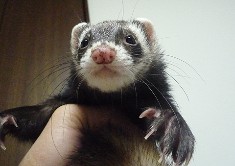 ふっふっふっ、その理由は…