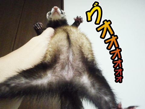 グオオオォォォ！