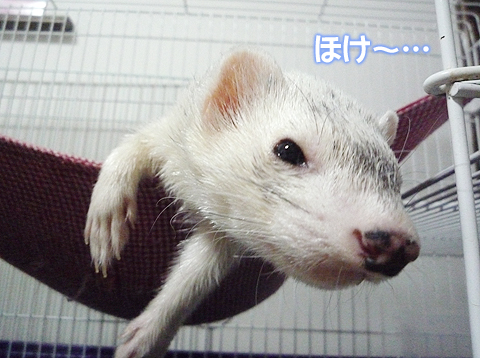 へっ、今なにかありましたか？