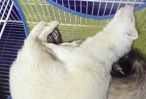 全体的にふっくら