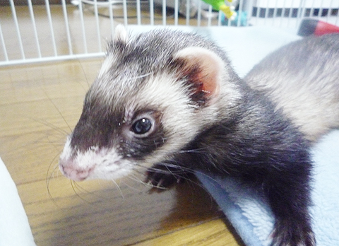 横顔もなかなかでしょ？